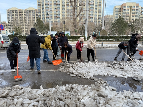 区政协机关党支部赴“双报到”济微路社区开展除雪志愿服务活动