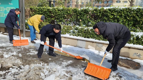 区政协机关党支部赴“双报到”济微路社区开展除雪志愿服务活动
