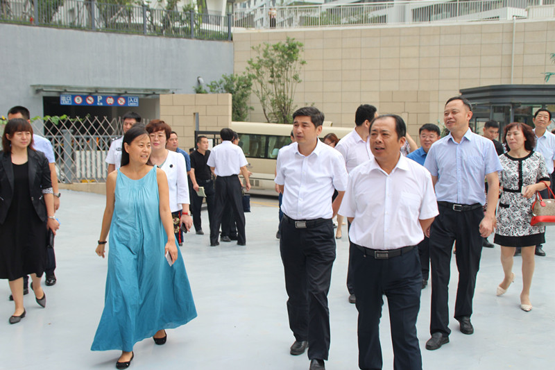 区政协视察全区教育暨重点提案办理