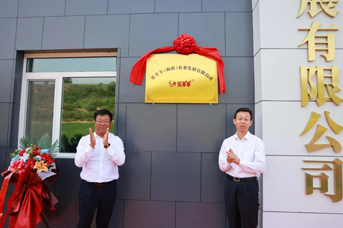 槐荫区党政代表团赴和政县对接东西部协作工作