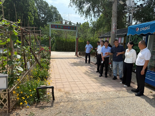 区政协开展“以文化为媒，绘制槐荫乡村振兴新画卷”商量调研活动