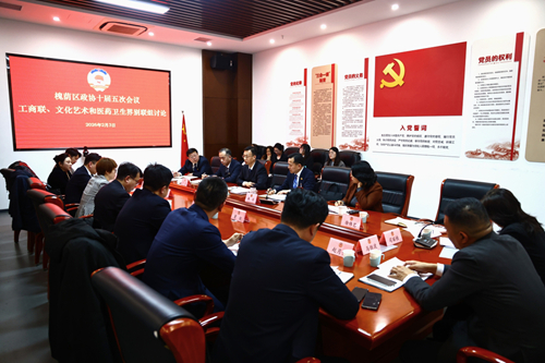 孙常建参加区政协工商联、文化艺术和医药卫生界别联组讨论