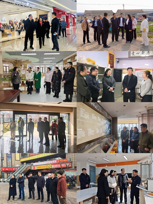 区政协开展“传达贯彻区委经济工作会议暨全区‘抓项目强产业增效突破年’推进大会精神”委员专题学习活动