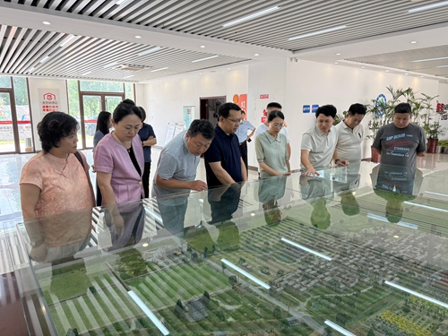 天桥区政协来我区考察